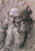 Study of a Man Aged Albrecht Durer